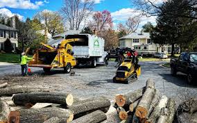Best Emergency Tree Removal  in Haltom City, TX